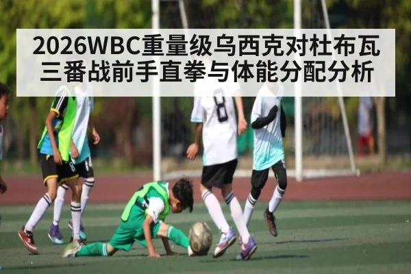 2026WBC重量级乌西克对杜布瓦三番战前手直拳与体能分配分析